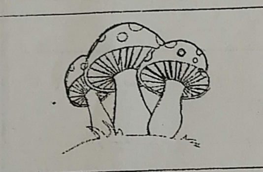 دریافت سوال 9