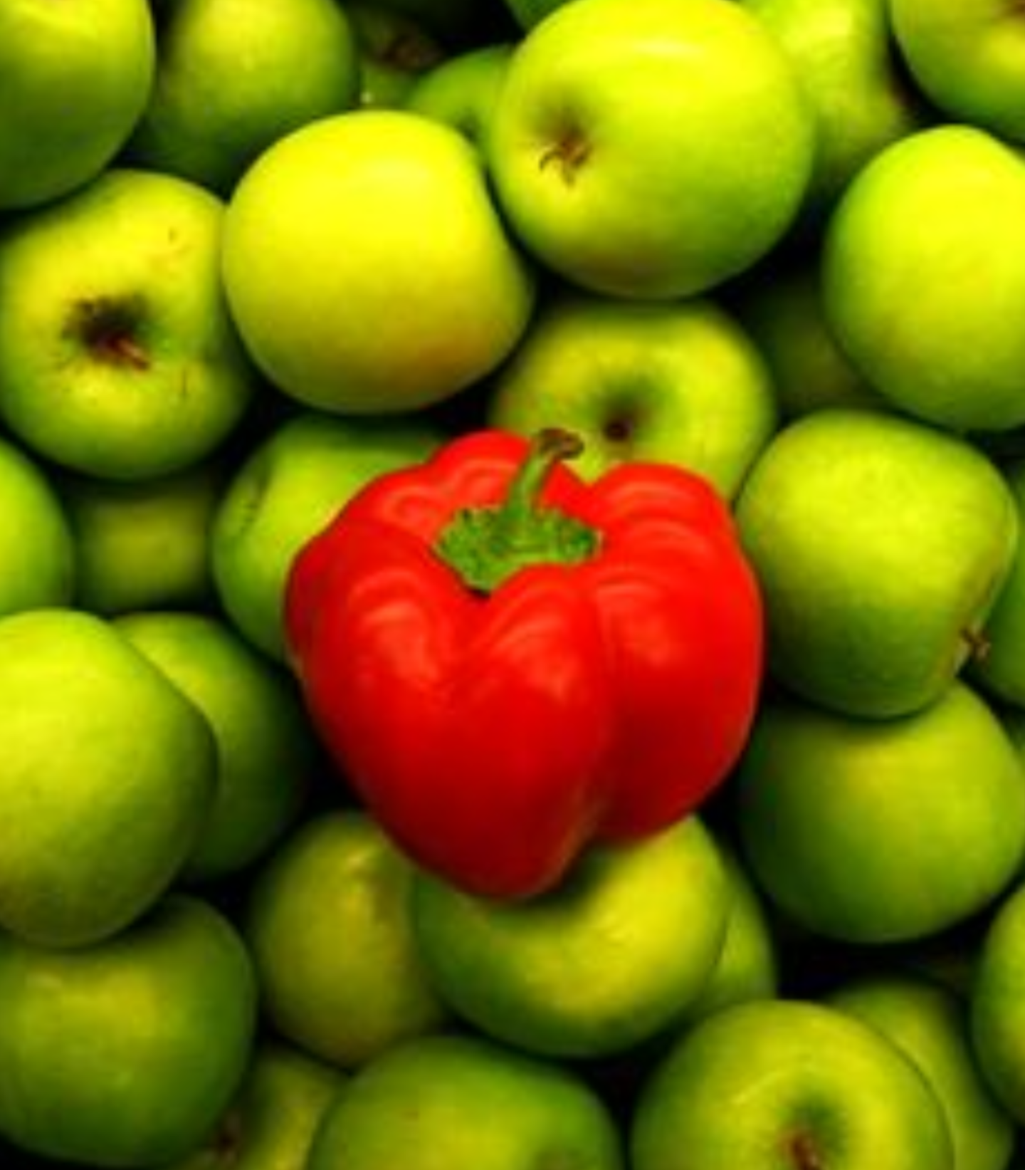 دریافت سوال 13