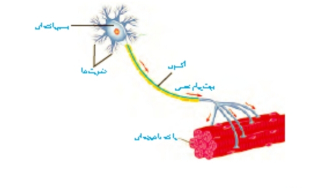 دریافت سوال 8