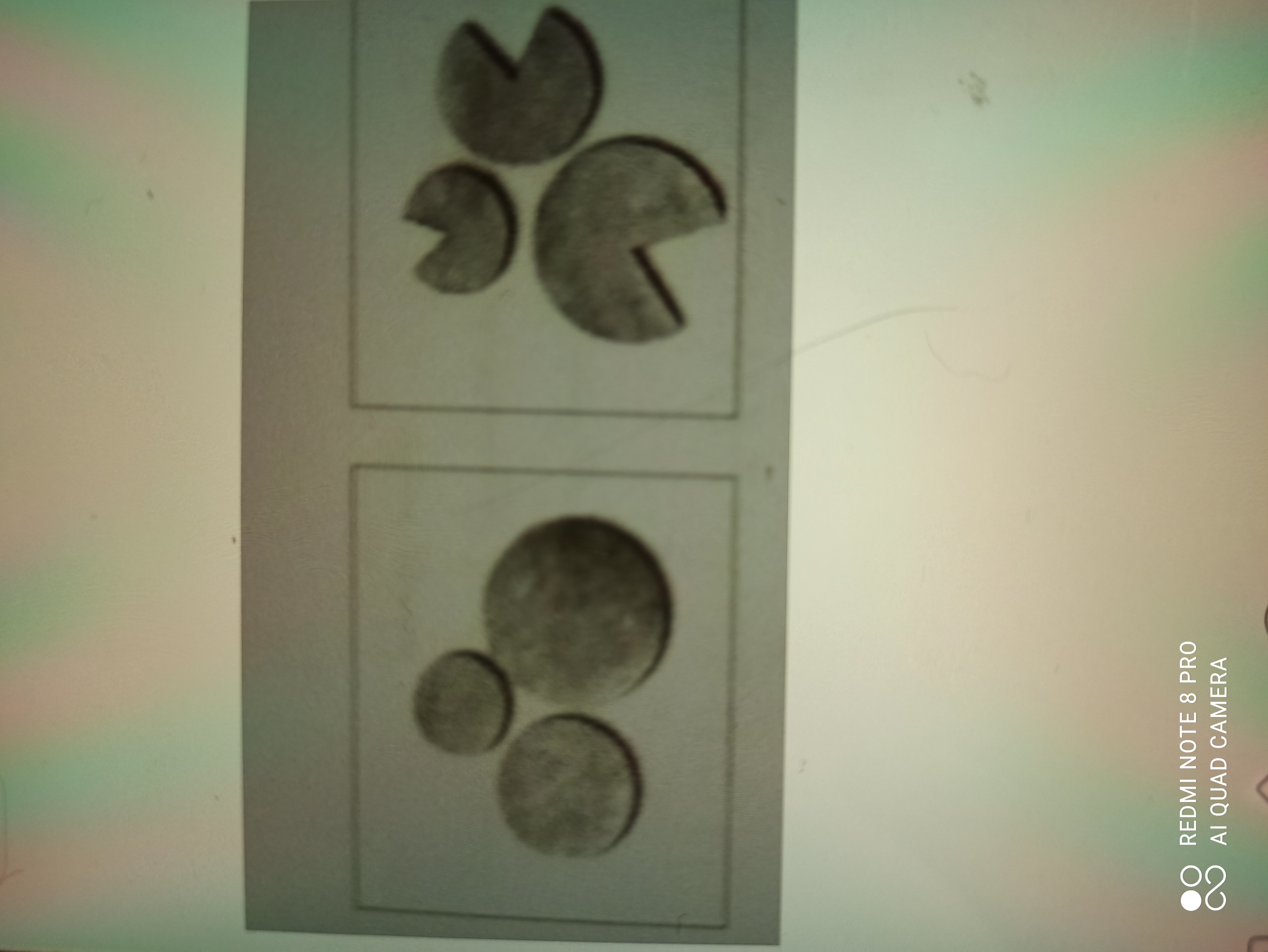 دریافت سوال 5