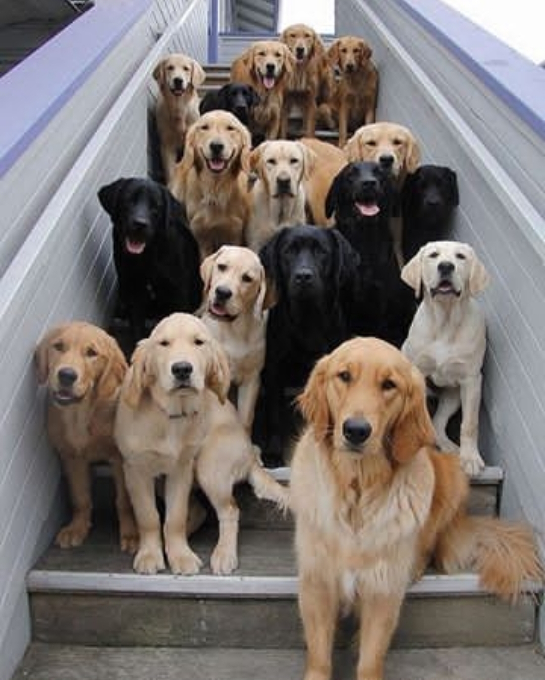 دریافت سوال 5