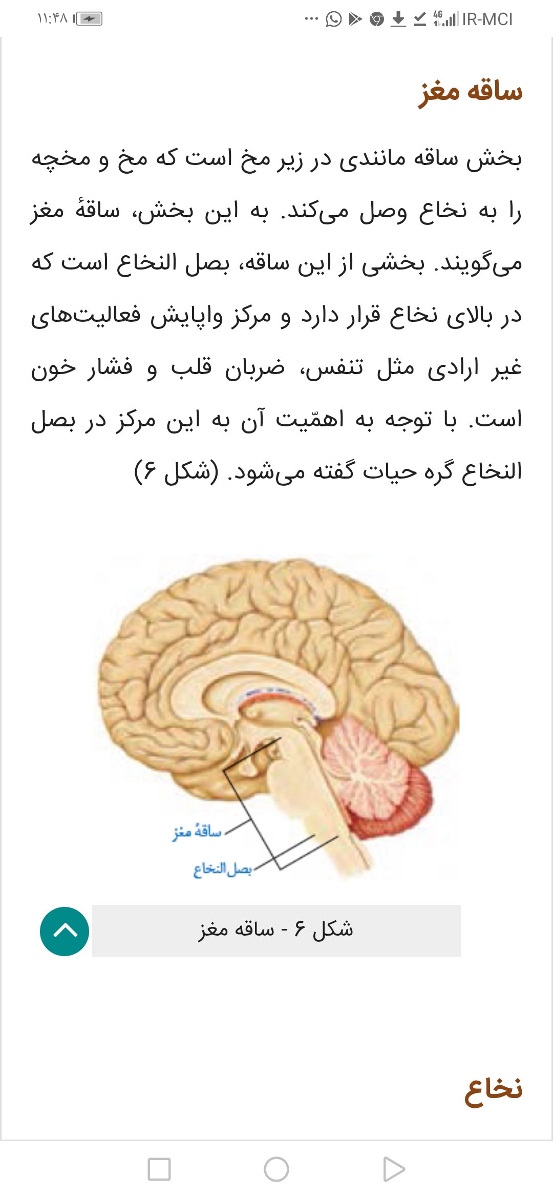 دریافت سوال 4