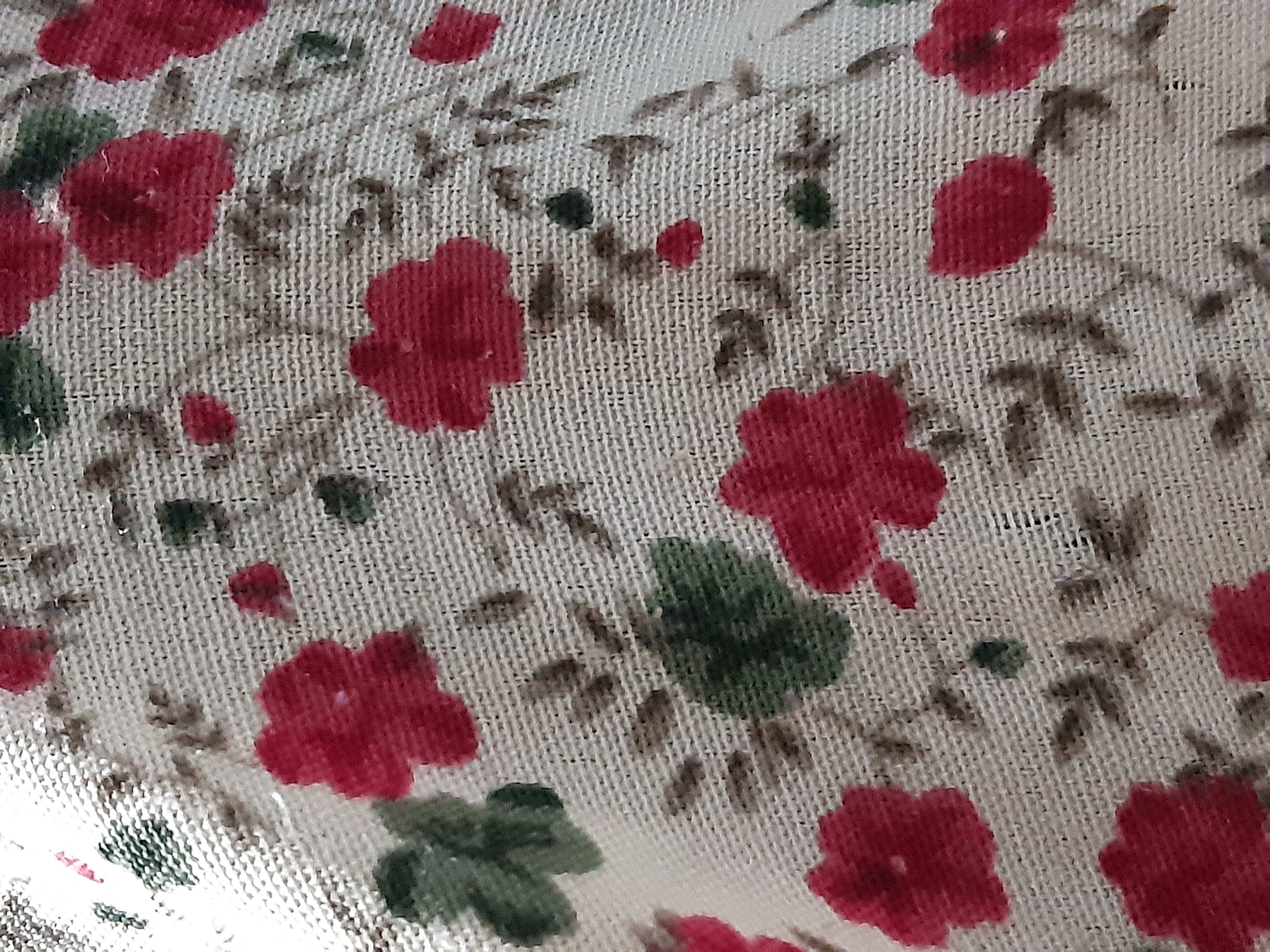 دریافت سوال 1