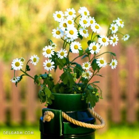 دریافت سوال 1