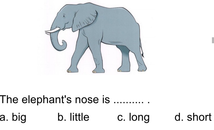 دریافت سوال 35