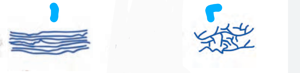 دریافت سوال 8