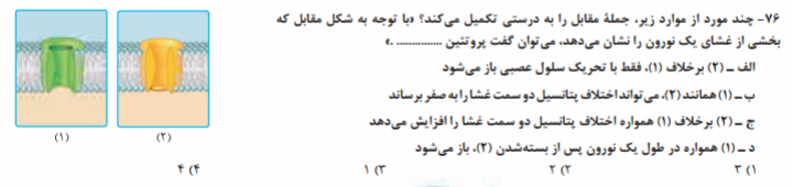 دریافت سوال 11