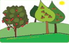 دریافت سوال 9