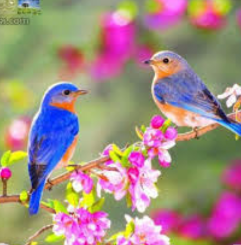 دریافت سوال 11