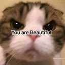 img of sticker