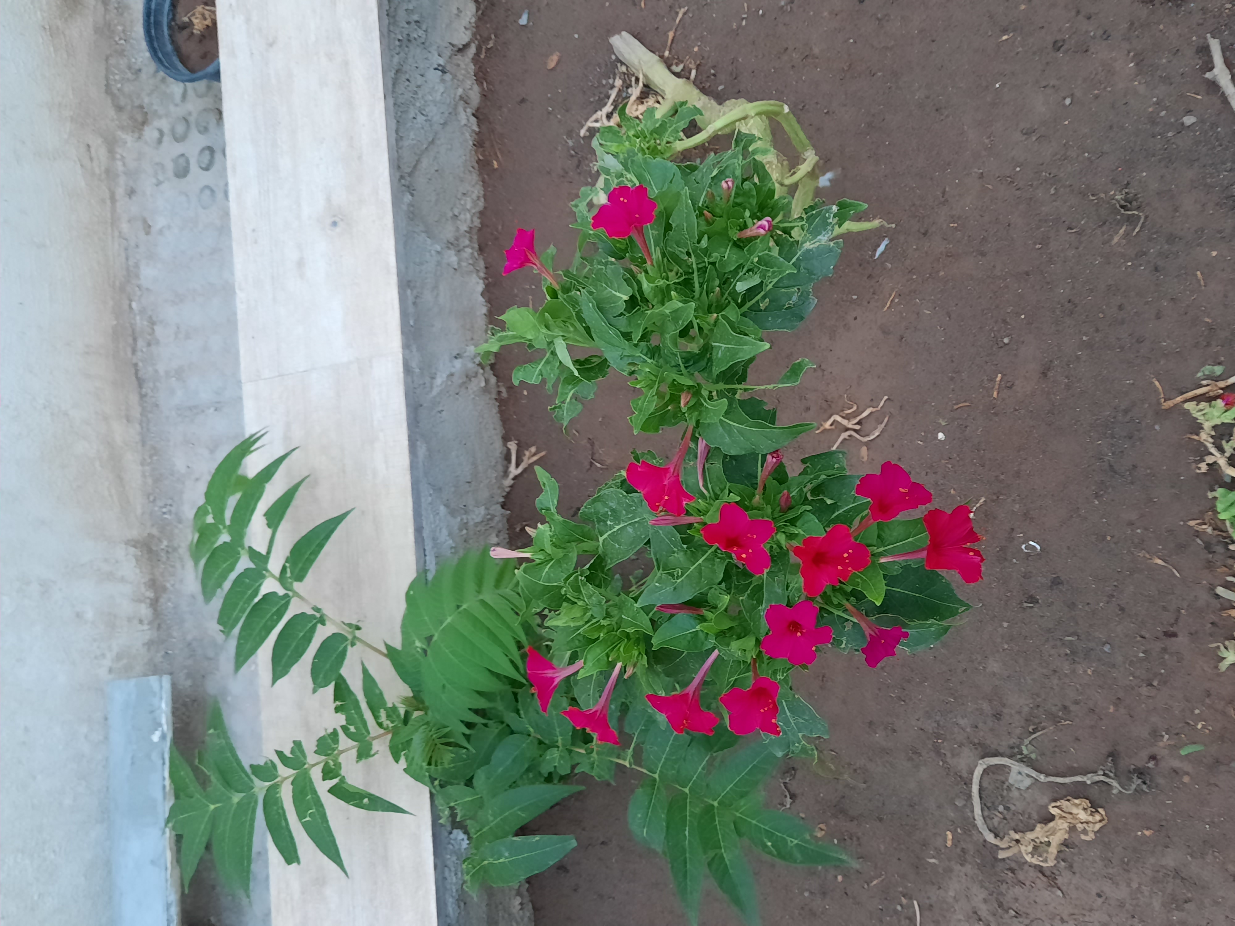 دریافت سوال