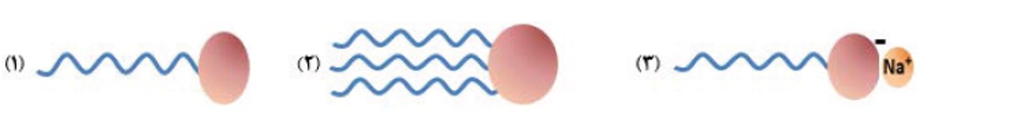 دریافت سوال 5