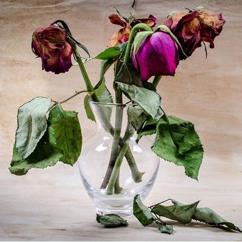 دریافت سوال 2