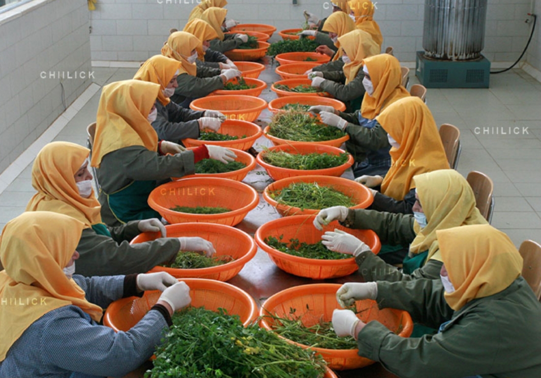 دریافت سوال 8