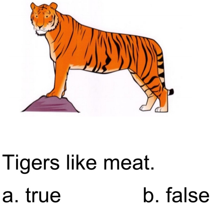دریافت سوال 16