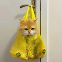 img of service