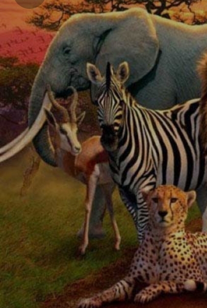 دریافت سوال 8