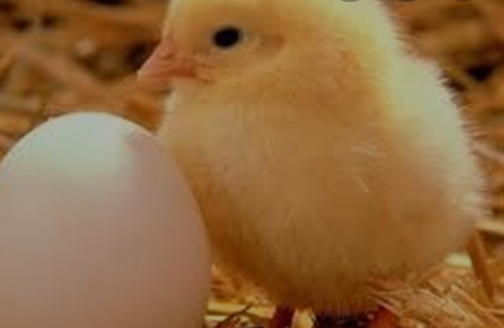 دریافت سوال 22