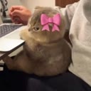 img of sticker