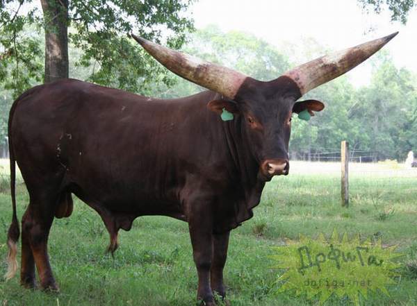 دریافت سوال 6