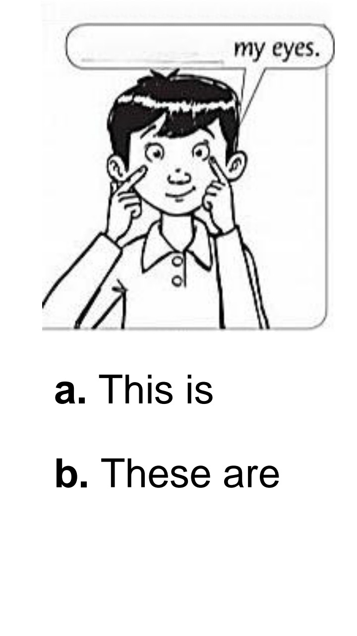 دریافت سوال 12