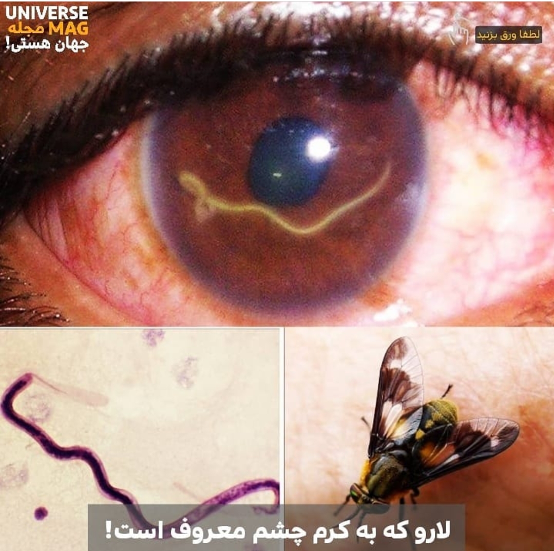 دریافت سوال 2