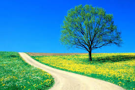 دریافت سوال 11