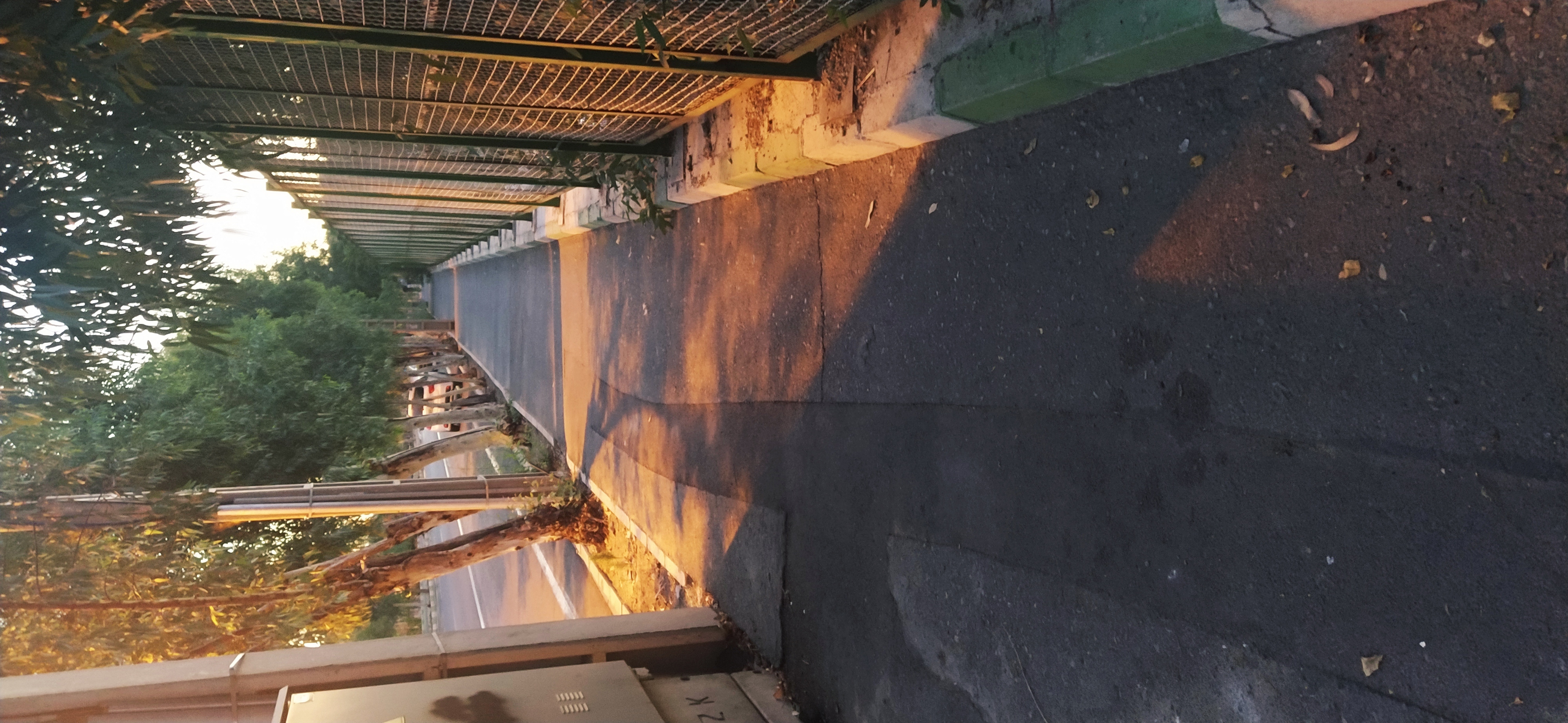 دریافت چند گزینه ای