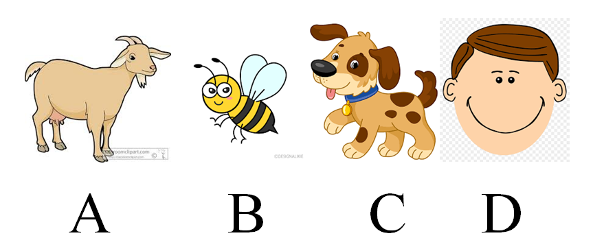 دریافت سوال 11