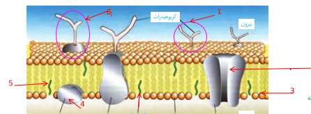 دریافت سوال 2