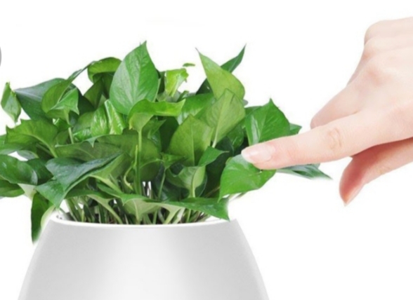 دریافت سوال 3