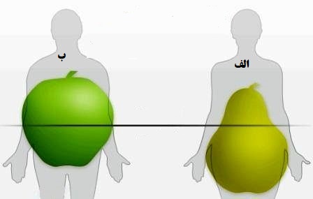 دریافت سوال 23