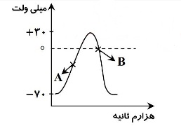 دریافت سوال 4