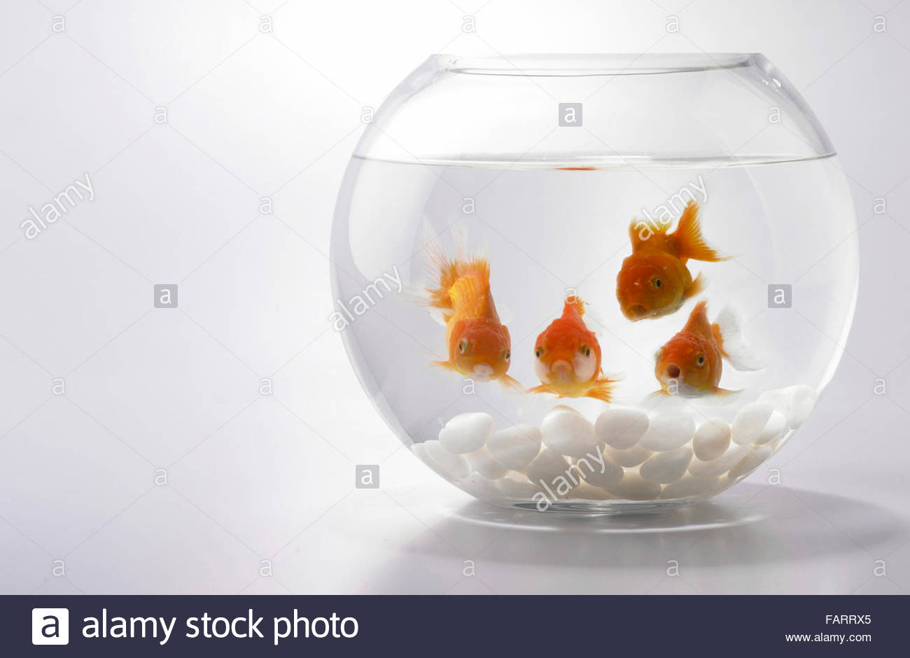 دریافت سوال 2