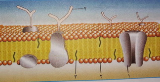 دریافت سوال 8