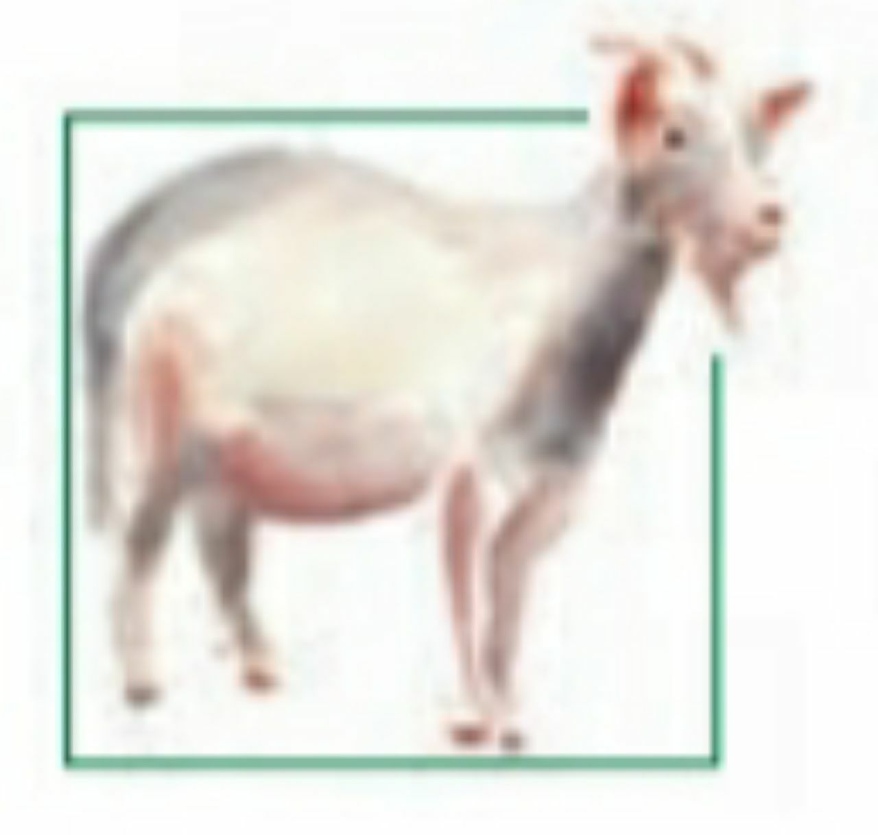 دریافت سوال 4