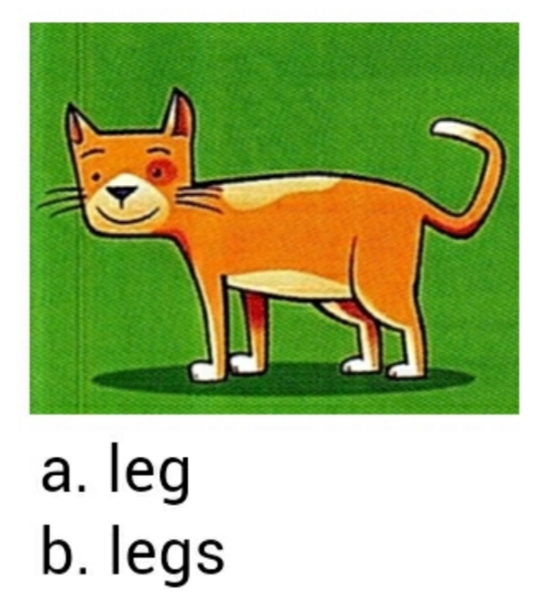 دریافت سوال 17