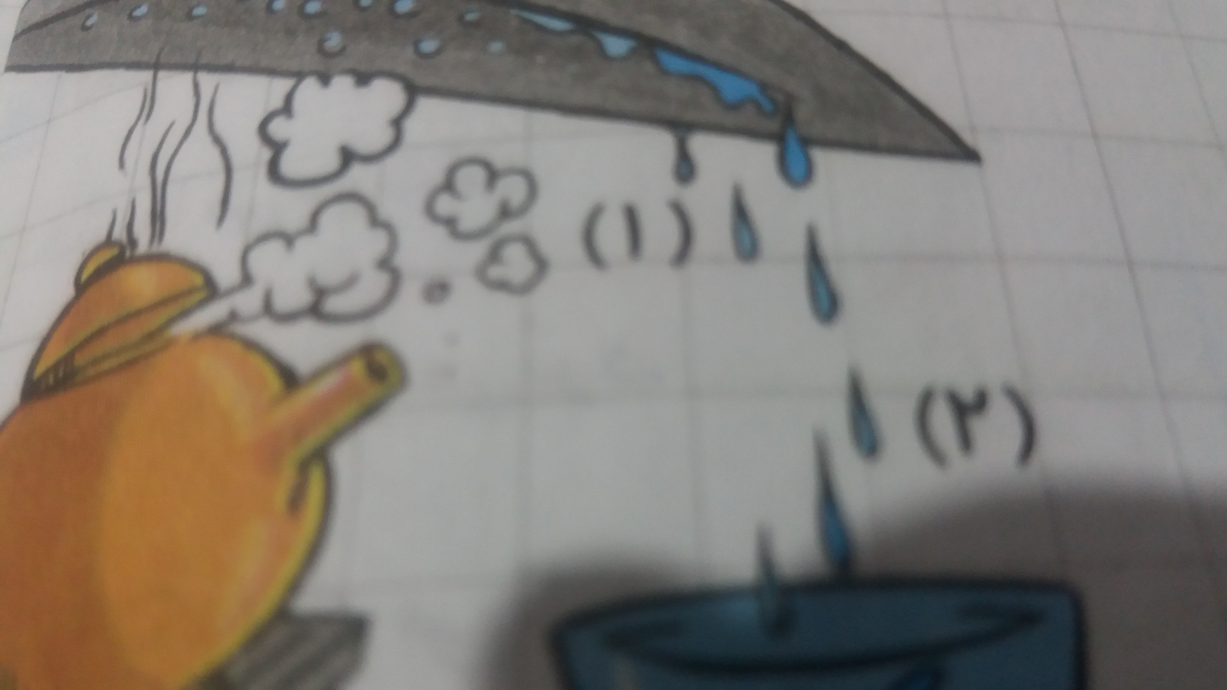 دریافت سوال 7