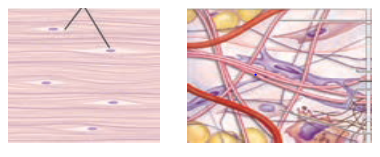 دریافت سوال 1