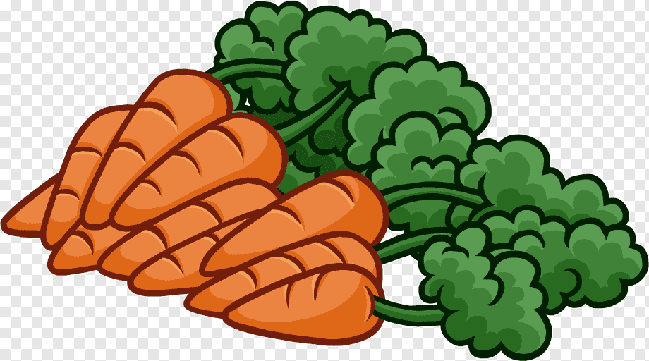 دریافت سوال 13