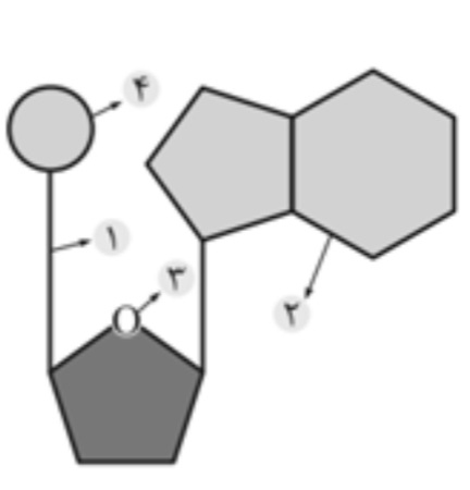 دریافت سوال 1