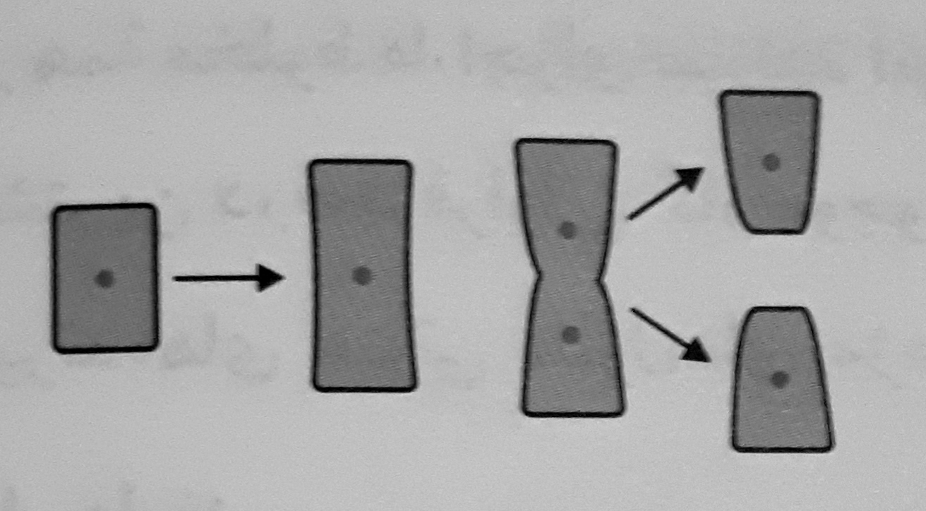 دریافت نام مدرسه