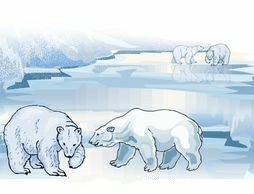 دریافت سوال 6