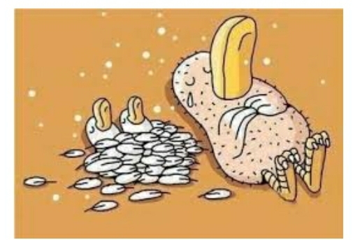 دریافت سوال 17