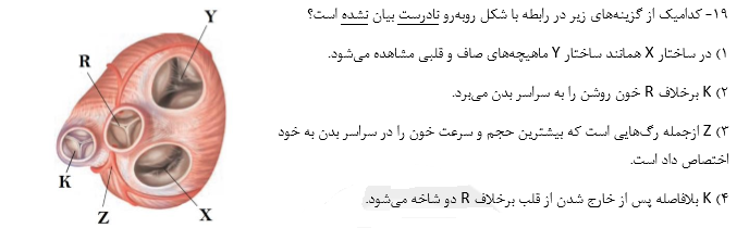 دریافت سوال 23