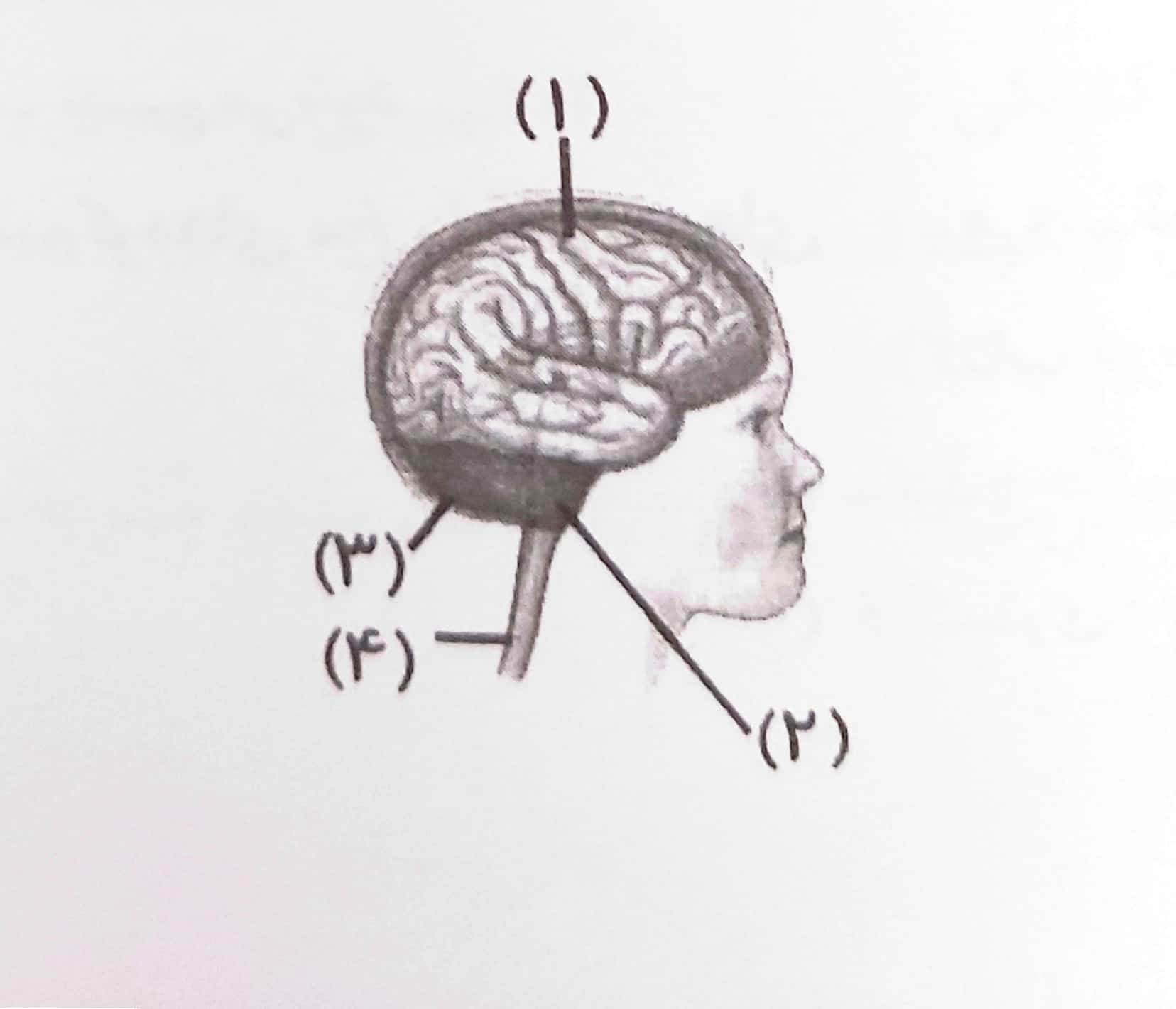 دریافت سوال 3