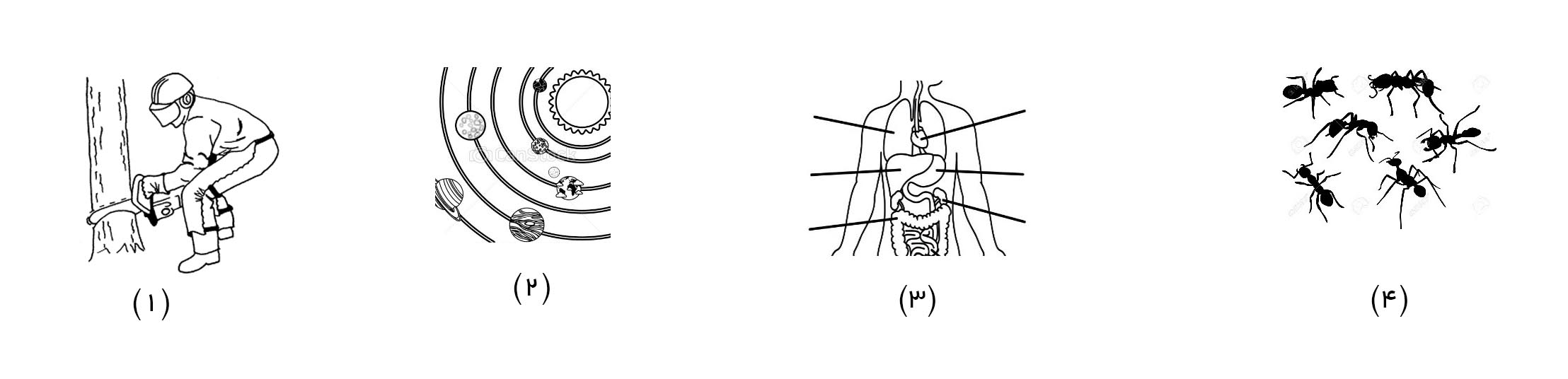 دریافت سوال 1