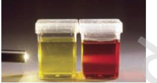 دریافت سوال 6