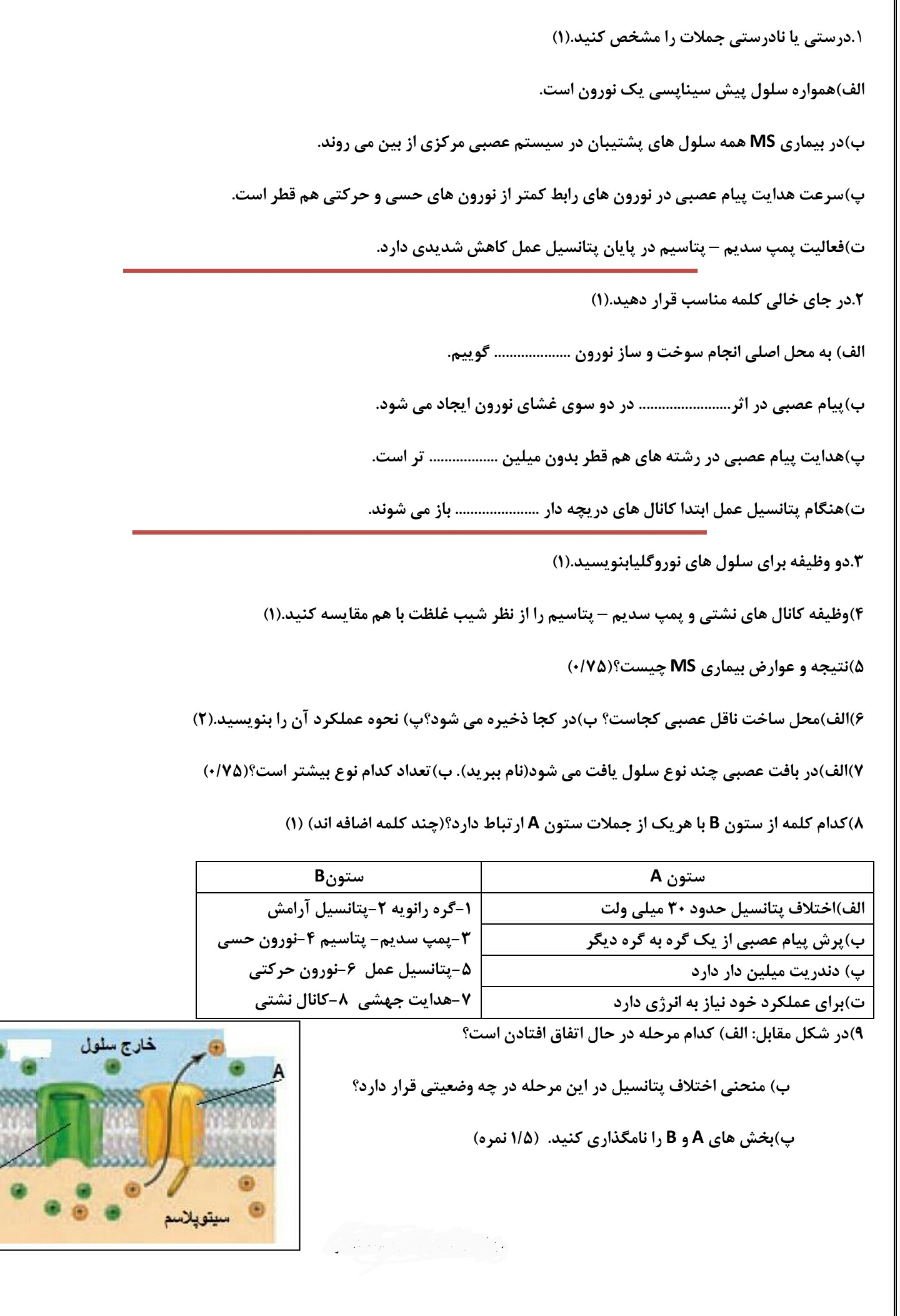 دریافت سوال
