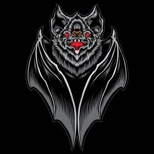 🦇🦇لینکــــــــــــــــــــــــدونی خفـــــاش🦇🦇